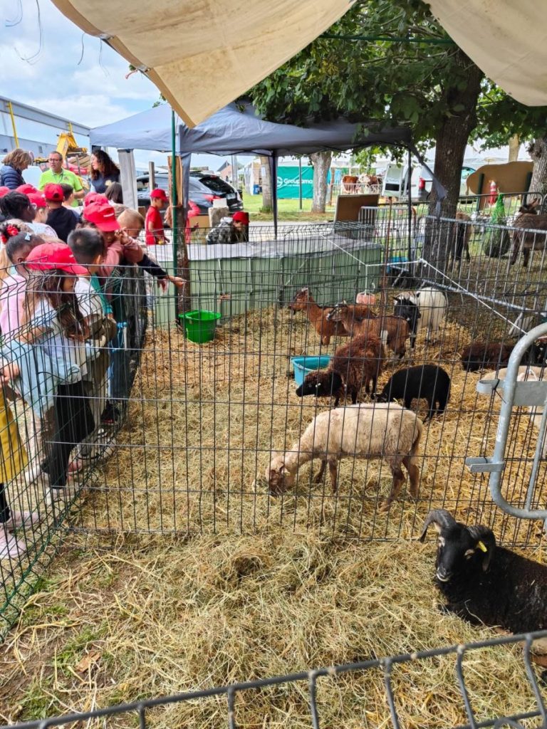 Visite nature au comice agricole du Dunois